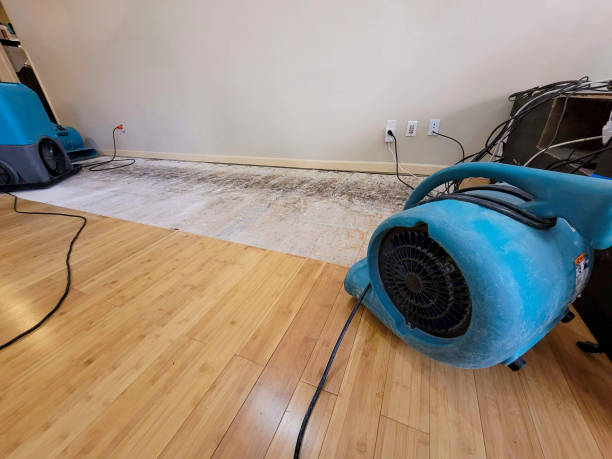 Professional Flood Damage Cleanup technician working in Indian Orchard, MA